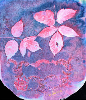 Sue Reno_wet cyanotype_image 917