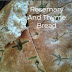 How To Rosemary And Thyme Bread Recipe: