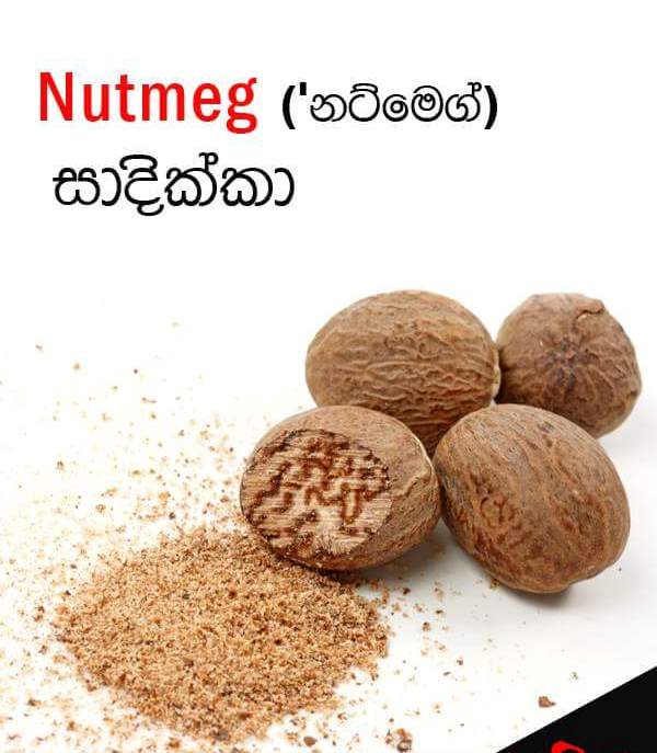 Sri Lankan spices names Sandy Foods Sri Lanka