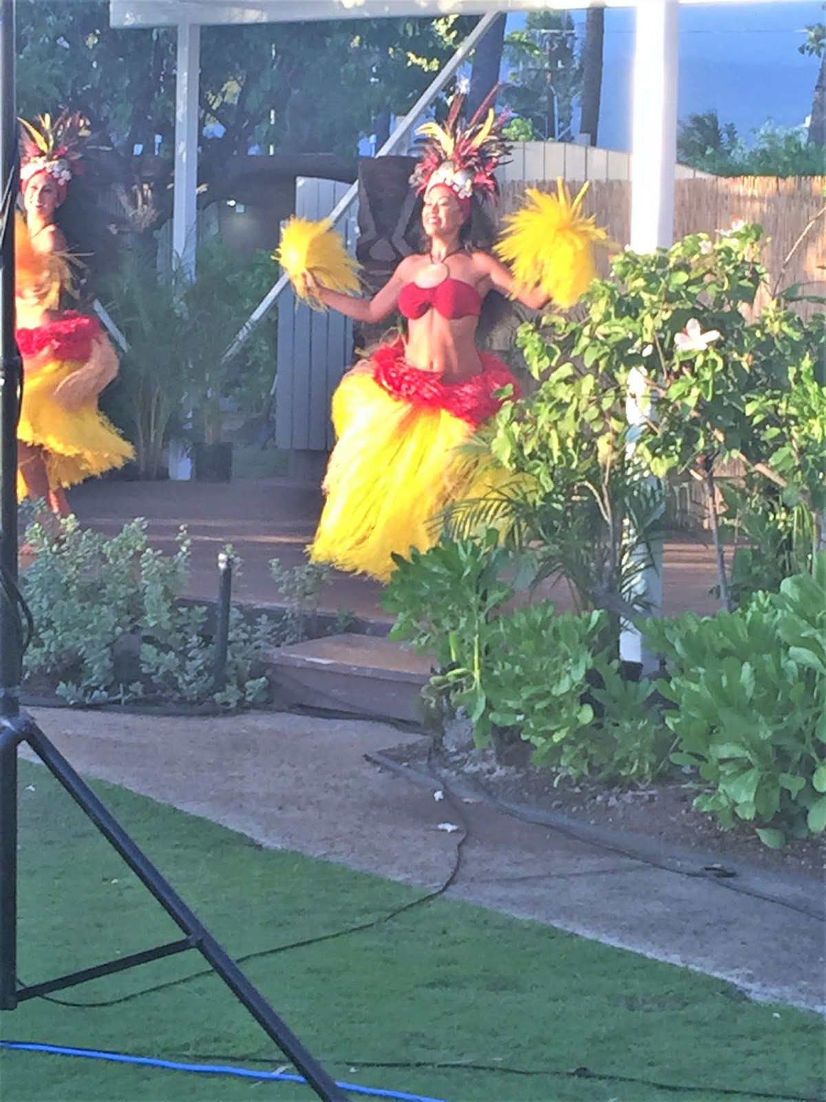 Waikiki Beach The Ultimate Girls Trip Guide MAPLE LEOPARD