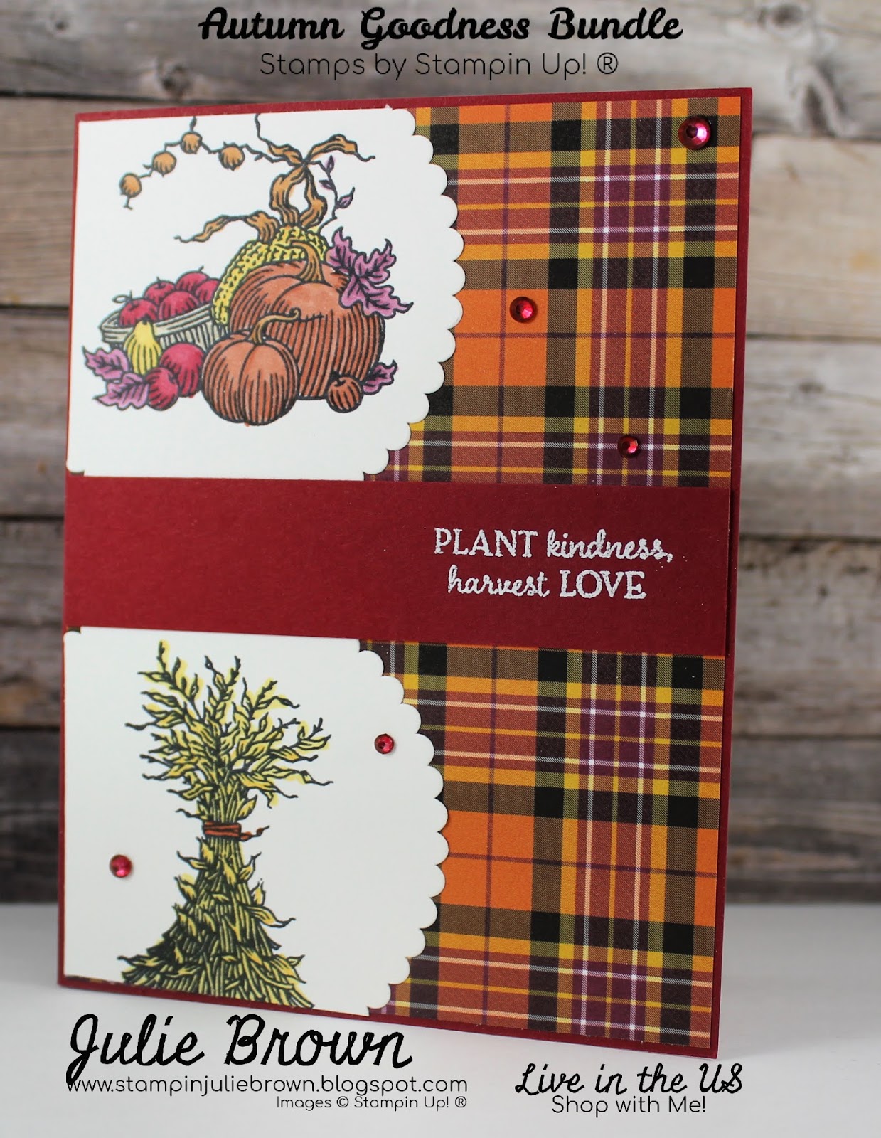 Julie's Creative Stamping Autumn Goodness and Plaid Tidings Designer