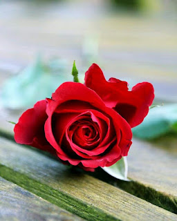%25D8%25A8%25D9%2588%25D9%2583%25D9%258A%25D9%2587%25D8%25A7%25D8%25AA-%25D9%2588%25D8%25B1%25D8%25AF-%25D8%25B4%25D9%258A%25D9%2583%2B%25285%2529