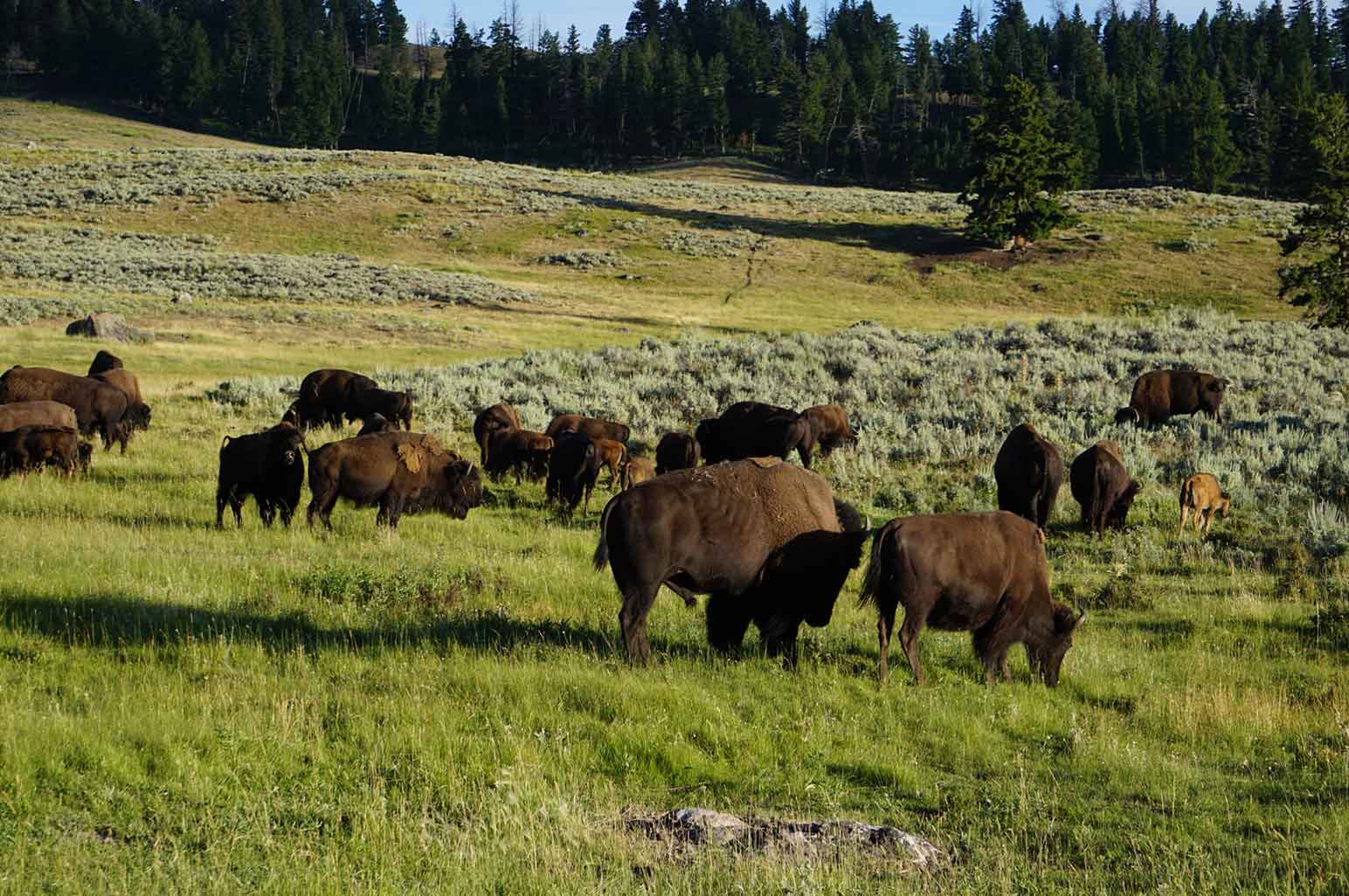 Amazing National Parks Around The World That Will Take Your Breath Away