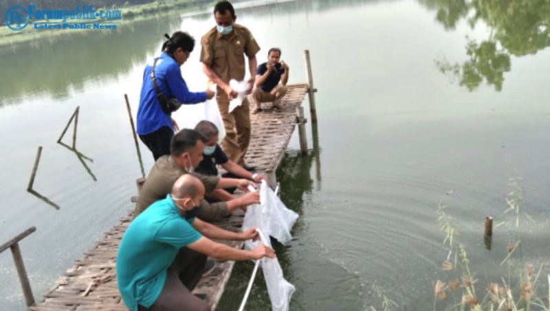 200 Ribu Benih Ikan Disebar Bumdes Desa Hegarmukti di Situ Rawa Binong