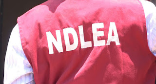 NEWS: NDLEA Debunks Video-Claim Of Drugs And Arms Seizure In Benin NEWS: NDLEA Debunks Video-Claim Of Drugs And Arms Seizure In Benin