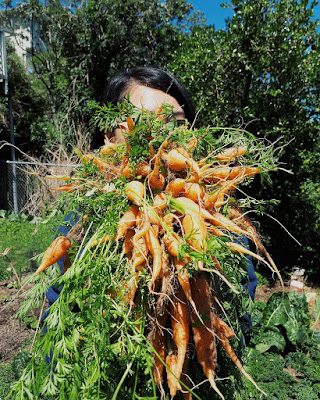 Manfaat berkebun untuk kesehatan mental