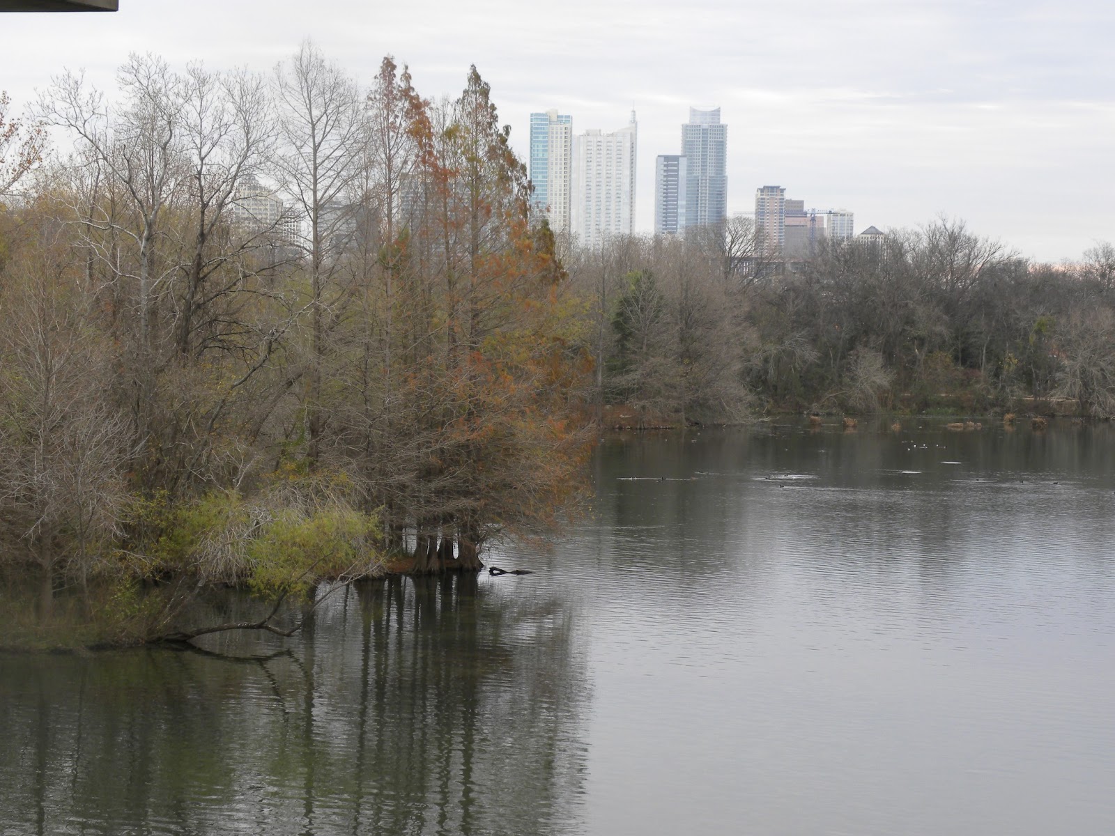Family Adventures Zilker Park at Austin