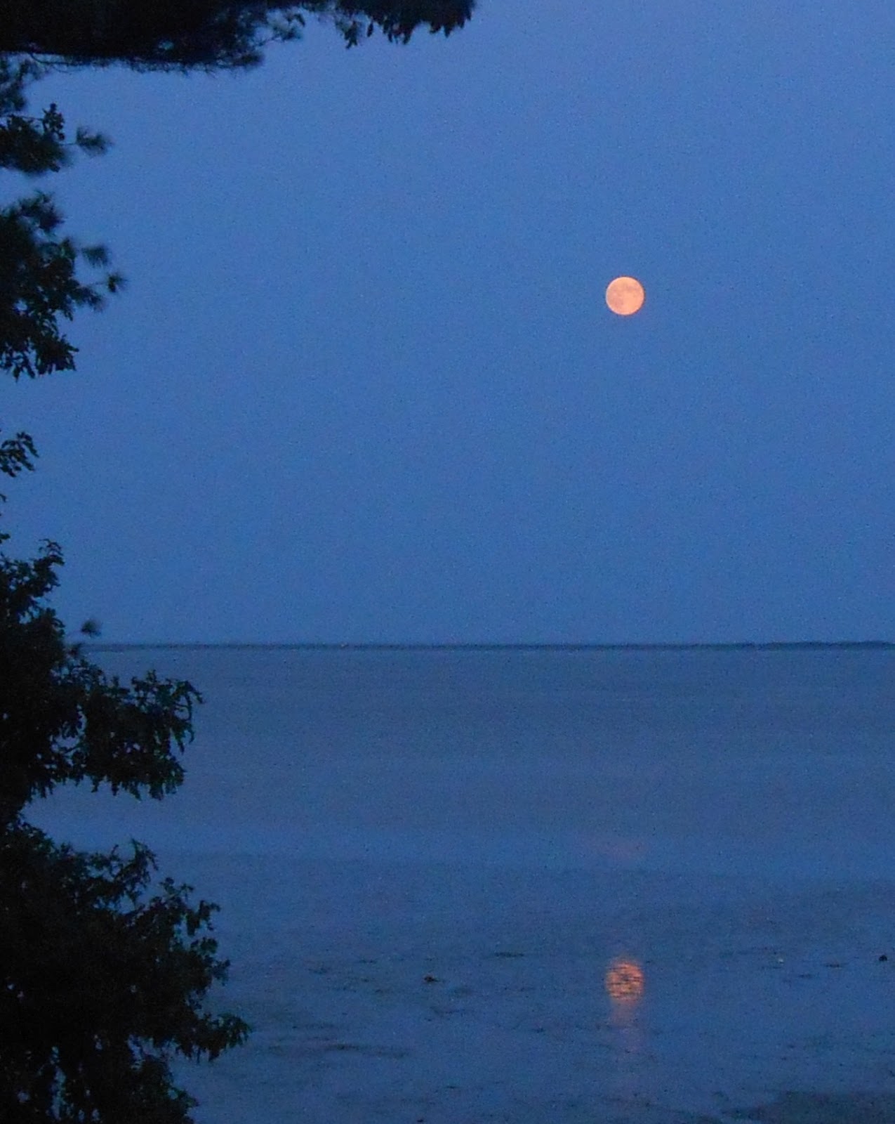 Sister Sarah's Excellent Adventure: blue moon