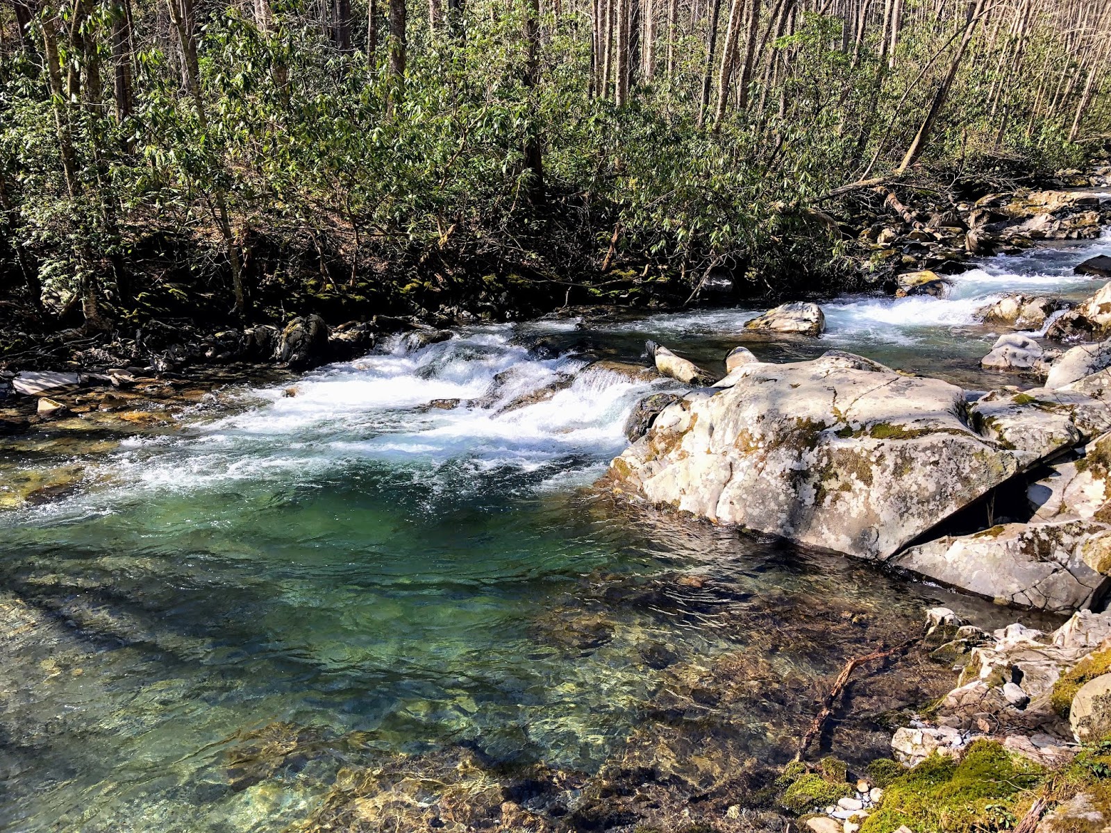 900 miles Smokemont Loop Bradley Fork Cabin Flats Dry Sluice Gap