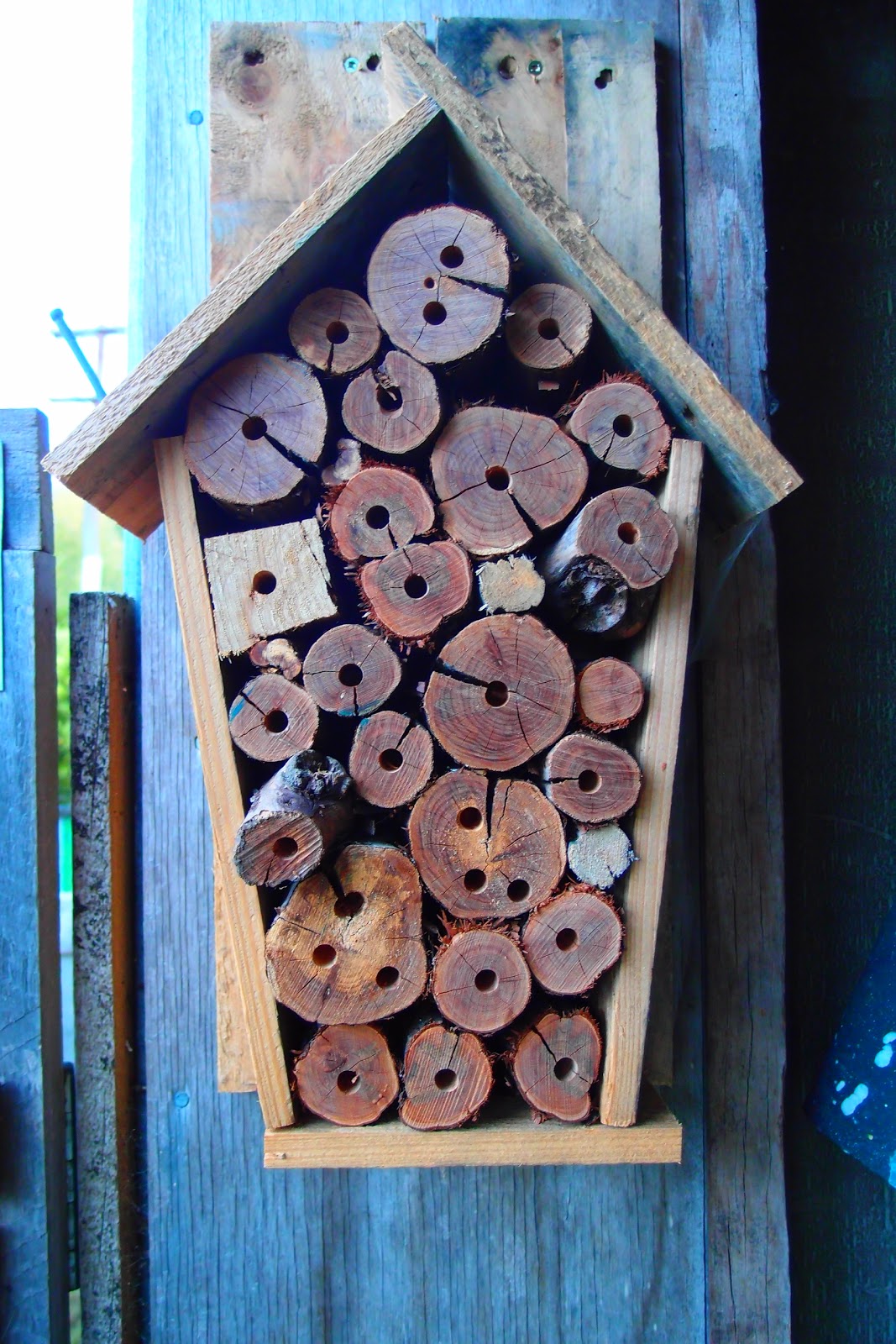 aaronm Mason Bee Houses