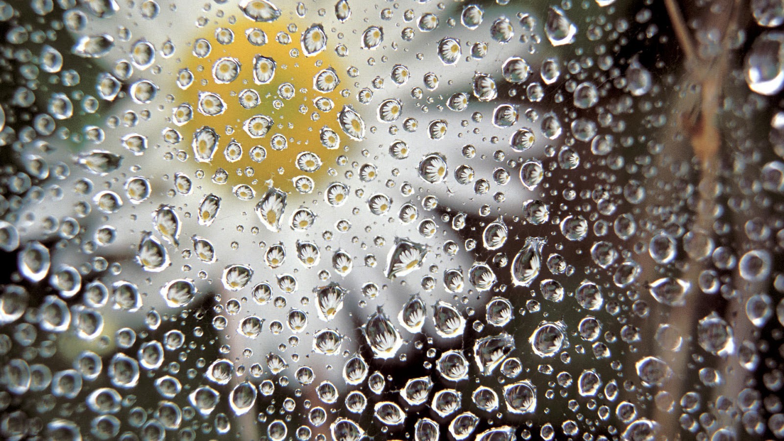 Photography HD Wallpapers 1920x1080