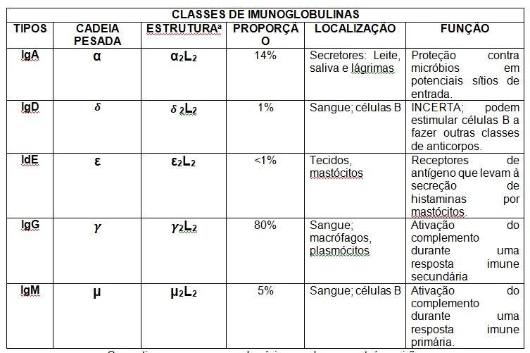 Cromo somos NOÇÕES BÁSICAS DE IMUNOGENÉTICA Cromo somos NOÇÕES BÁSICAS DE IMUNOGENÉTICA