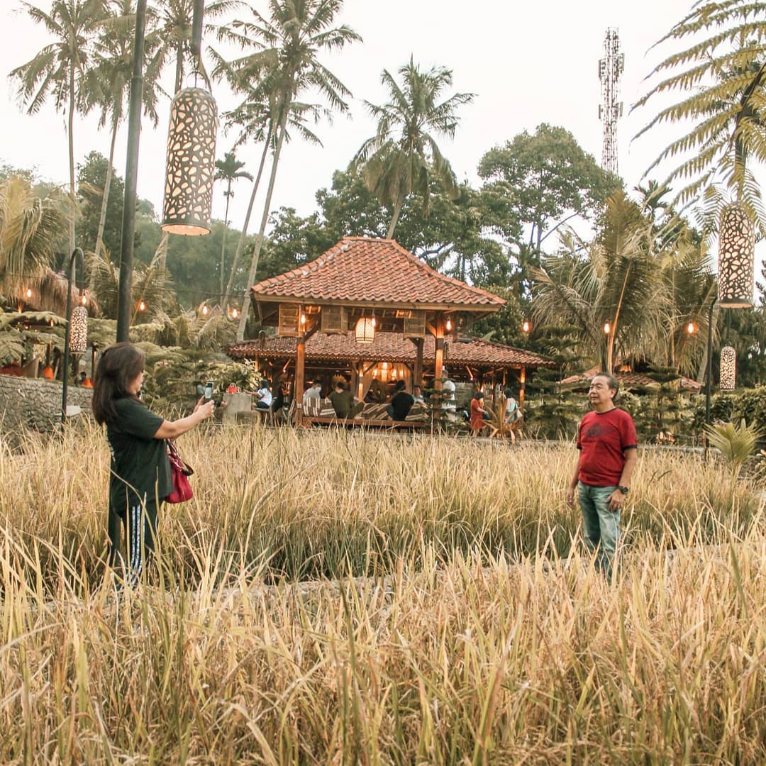 Ngopi Di Sawah Gadog Bogor - Review Harga Menu, Daya Tarik & Lokasi