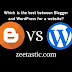 Which is the Best Between Blogger and WordPress for a Website?