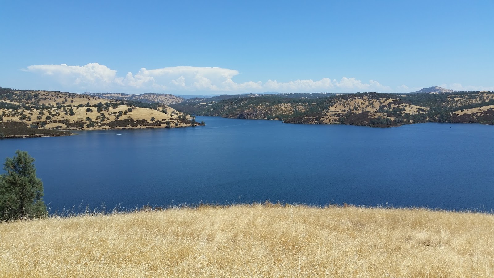 Wes' Travels to California Lakes Pardee Reservoir Amador & Calavares