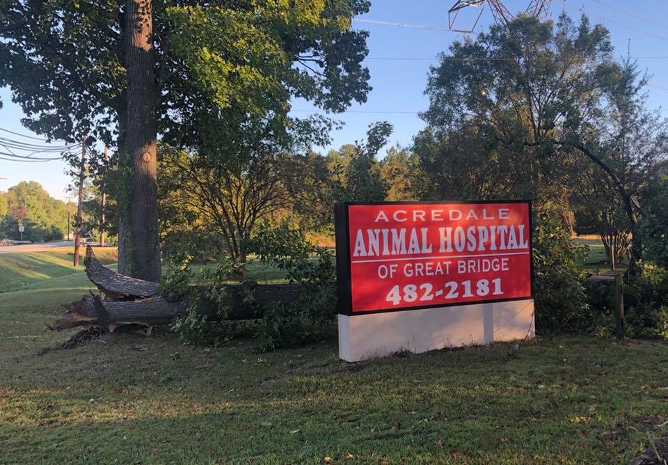 Must Love Pekes ACREDALE ANIMAL HOSPITAL MY VET