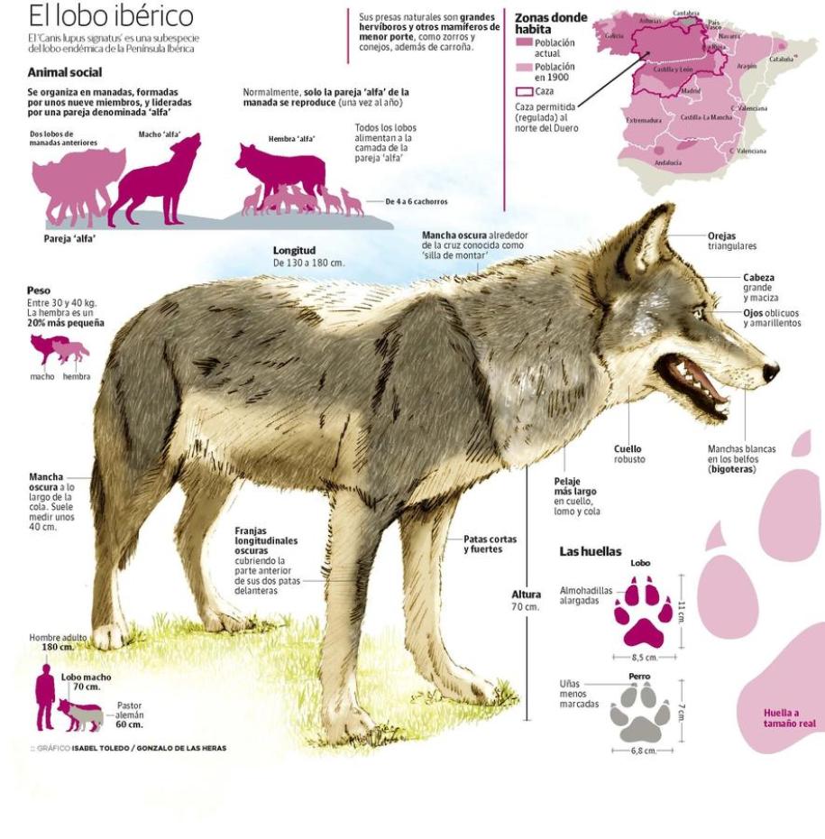 El blog de LA MATA DE CURUEÑO (León): León es la provincia con la mayor ...