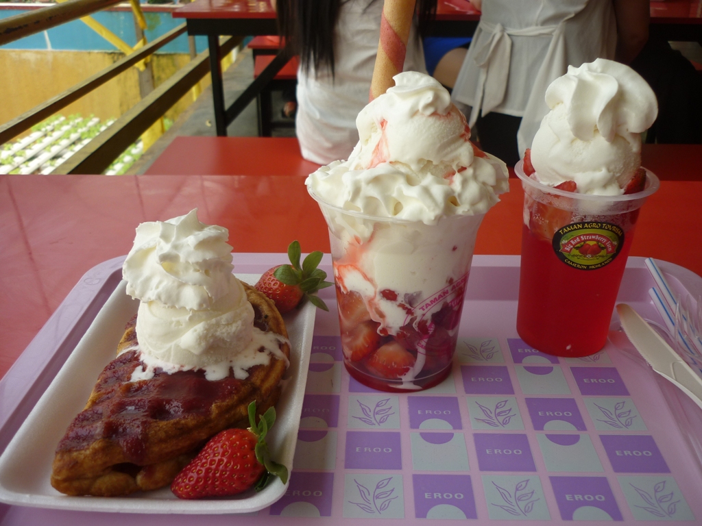 So Full of Myself Cameron Highlands Big Red Strawberry Farm