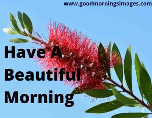 Good Morning Shayari Images For Beautiful Morning