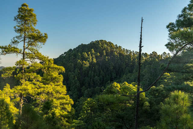 Roadtrip Gran Canaria – Bei dieser Inselrundfahrt lernst du Gran Canaria kennen! Sightseeingtour Gran Canaria. Die schönsten Orte auf Gran Canaria 13