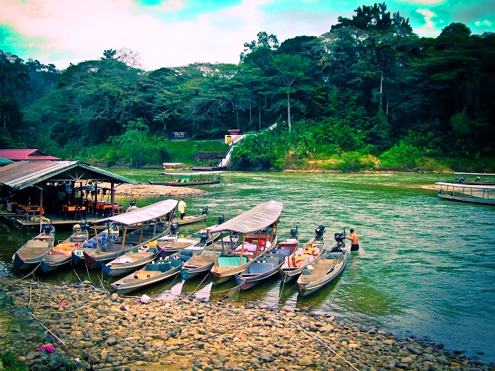 Taman Negara, Malaysia - The World's Oldest Tropical Rainforest