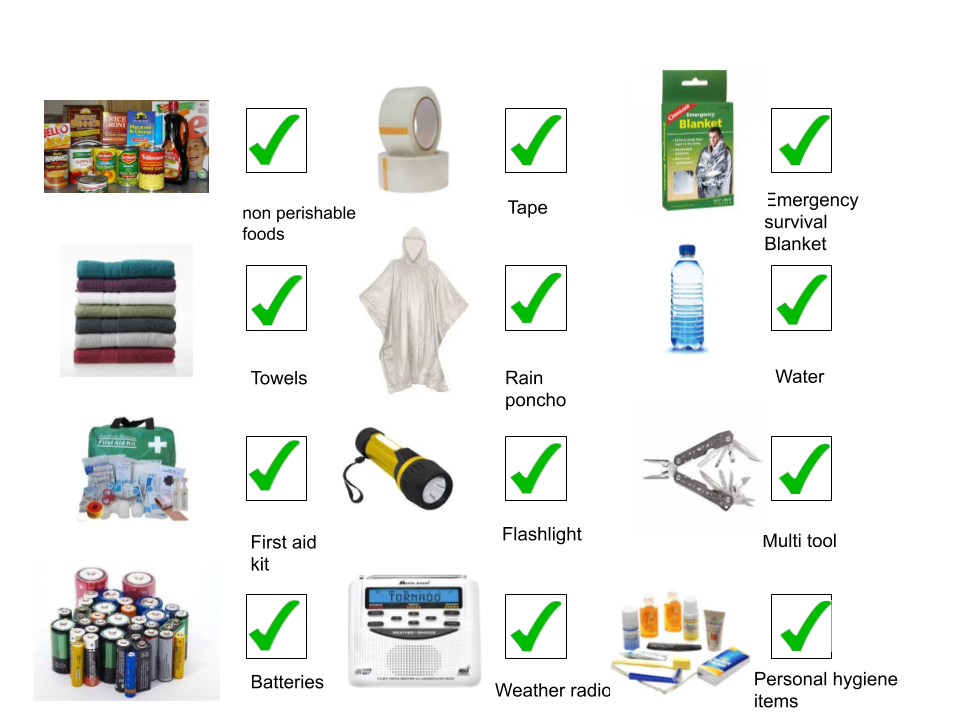 Micki School Hatchet survival kit