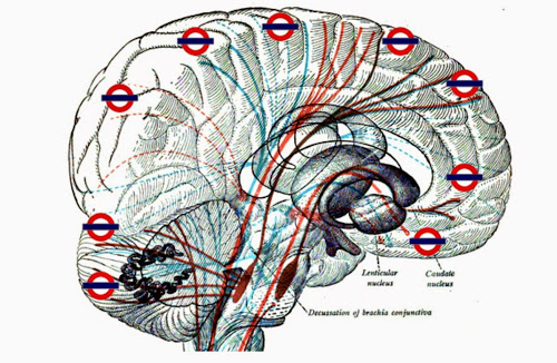 IQ's Corner: Working memory training (dual n-back) improves white