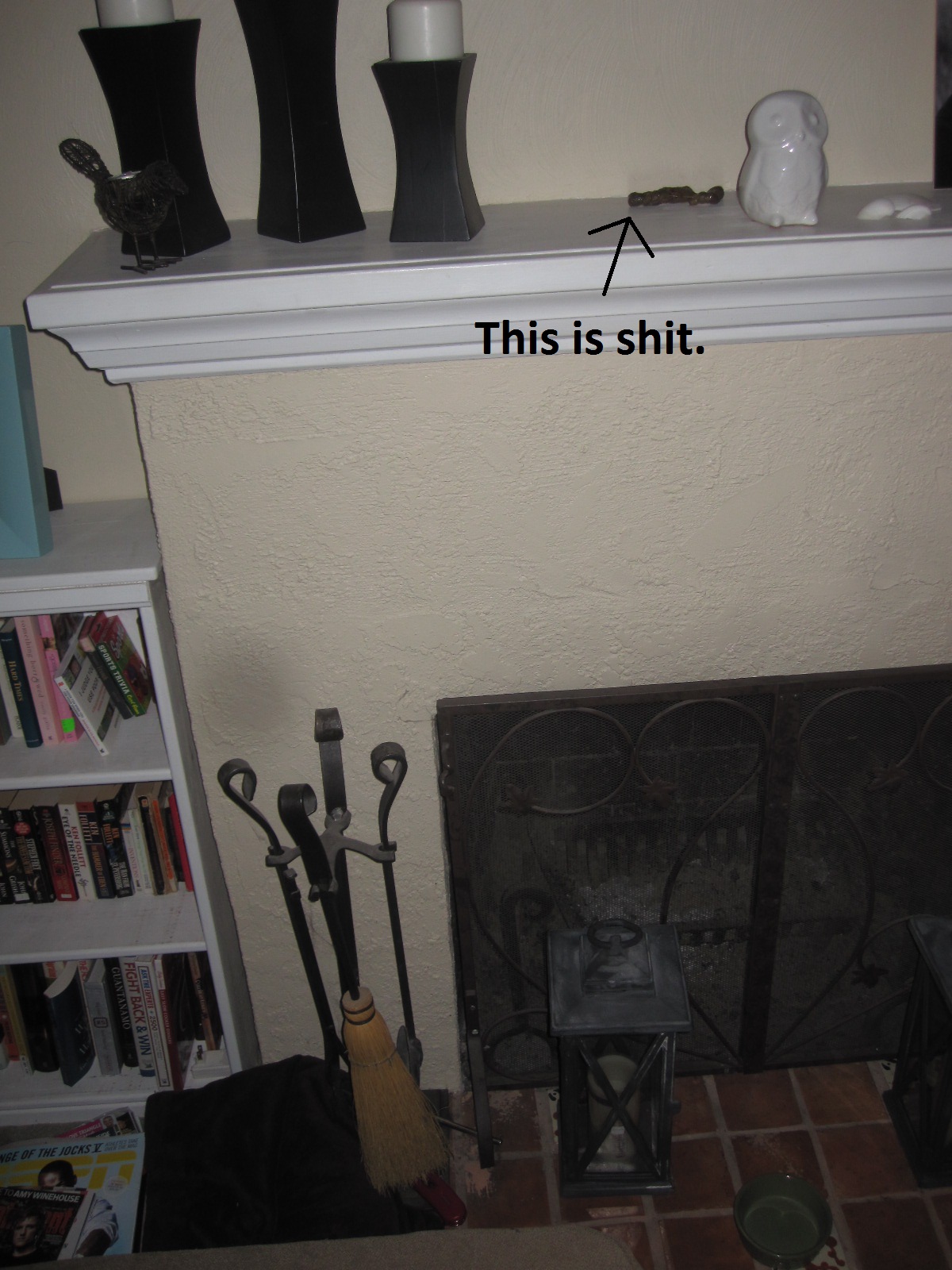 My Cat Poops Everywhere