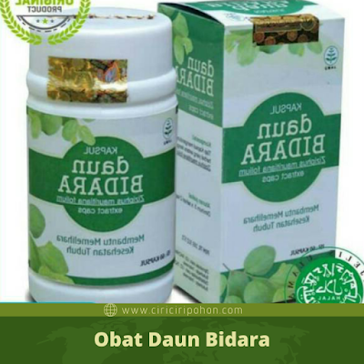 obat kuat