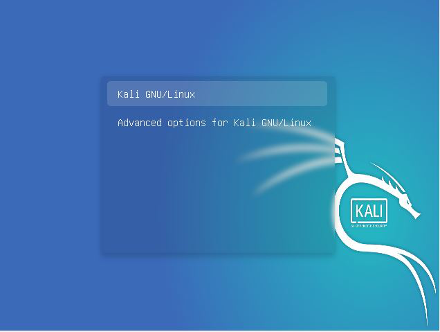 Advanced Option For Kali Linux