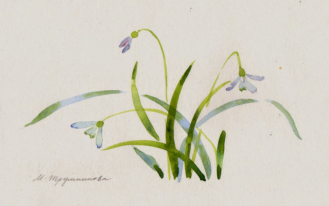 Приточная трава рисунок