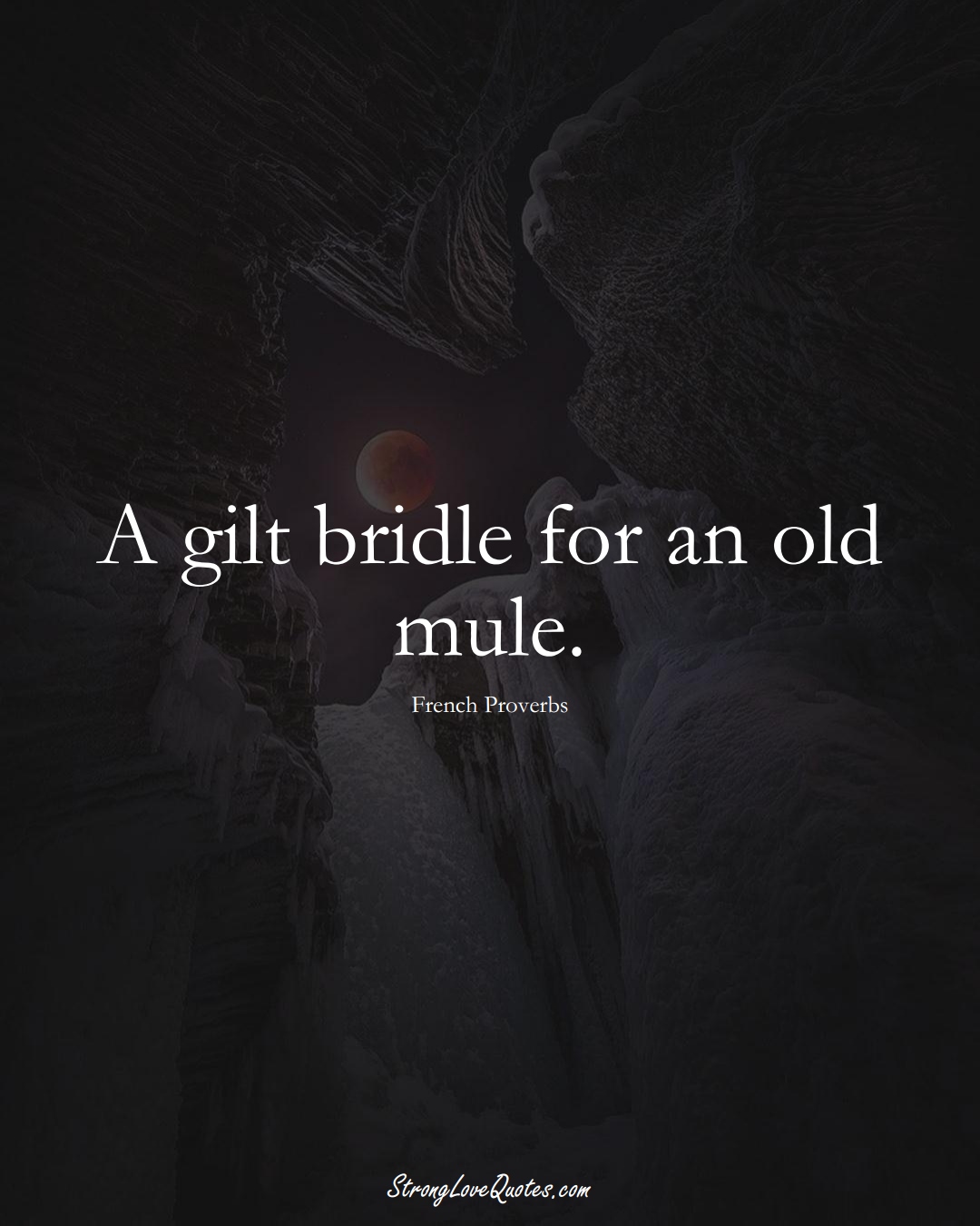 A gilt bridle for an old mule. (French Sayings);  #EuropeanSayings