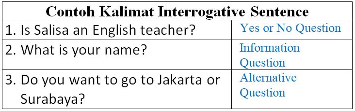 Interrogative. Interrogative sentences примеры. interrogative sentence structure. make the sentences interrogative there is a yard.