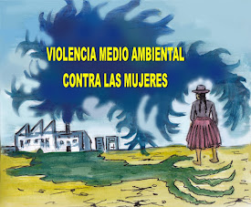 ¿QUE ES VIOLENCIA MEDIO AMBIENTAL CONTRA LAS MUJERES?