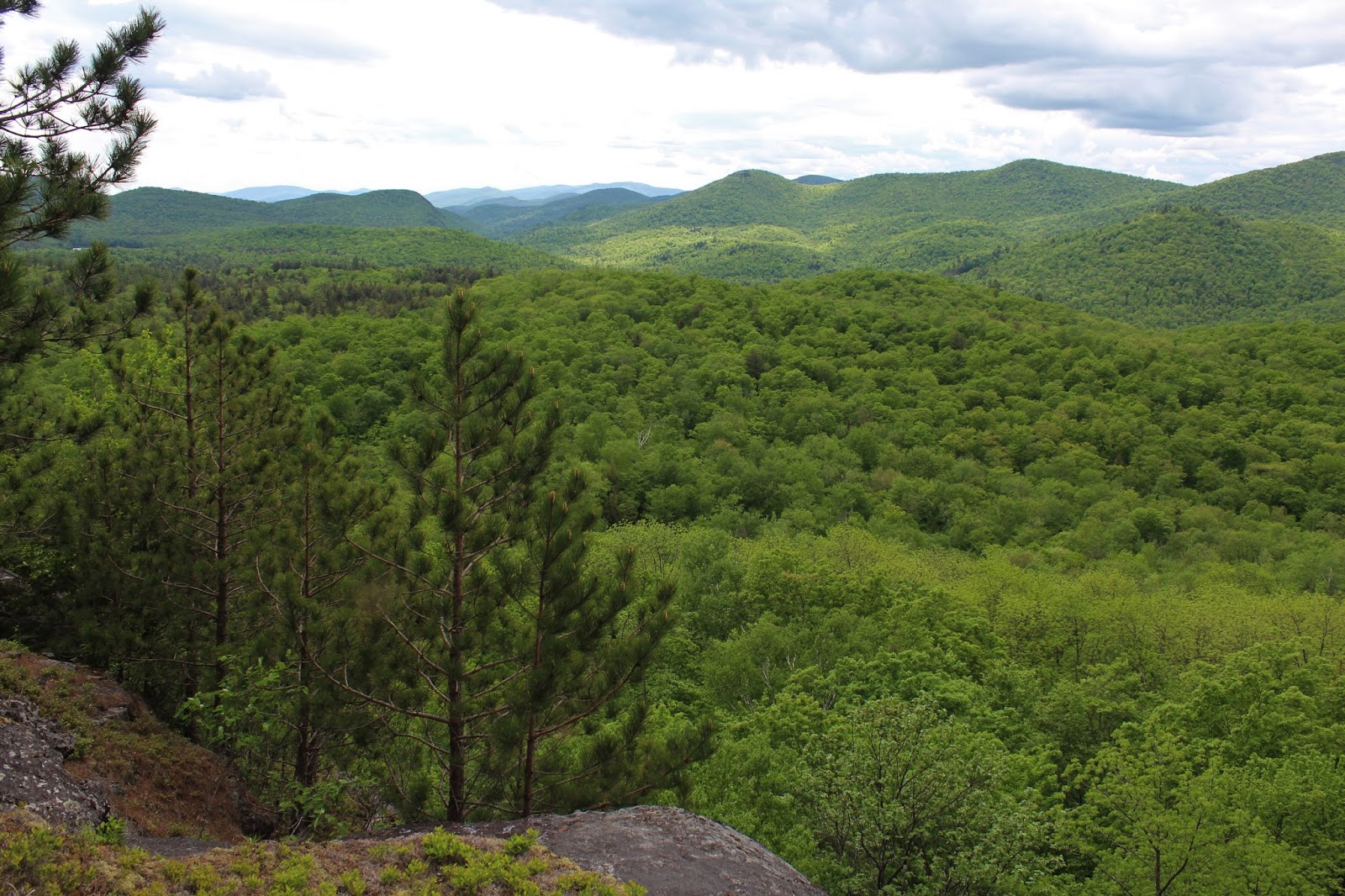 Walking Man 24 7 Eagle Pond & Eagle Pond Ledges(Wilcox Lake Wild
