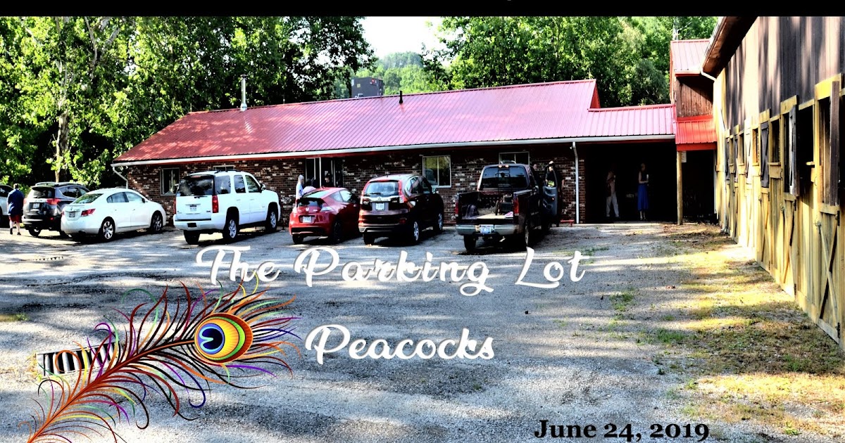 Parking problems on college campuses essay image