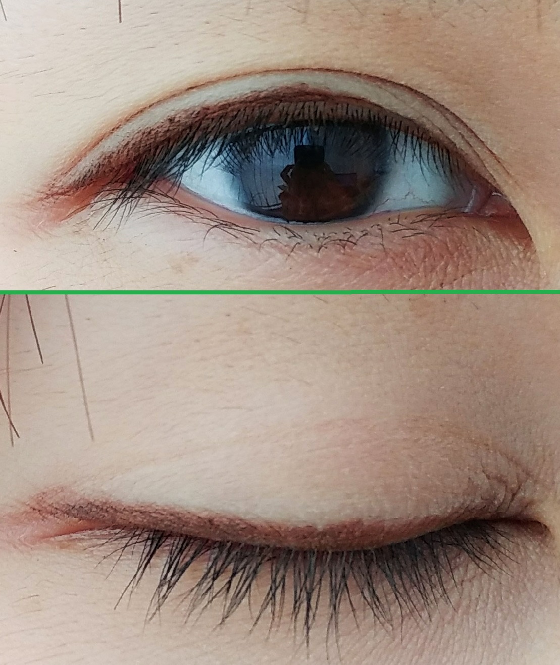 Innisfree Always New Auto Liner Upgrade 13 Rocking Log Path Wateryscenery