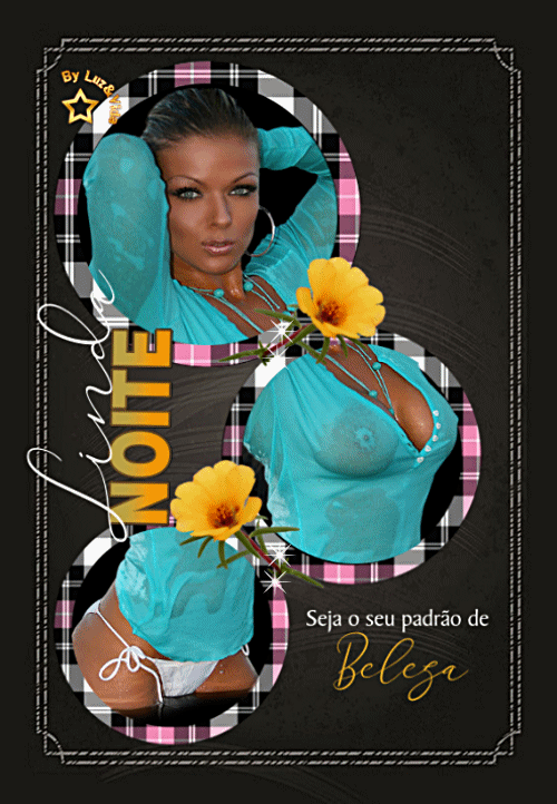 08NOVO-%2528MB%2529maryluz.gif
