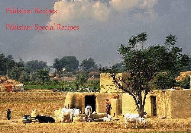 Pakistani Recipes,Pakistani Special Recipes
