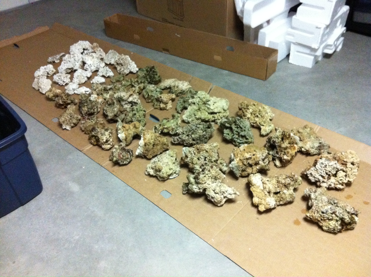 120 Gallon Reef Display Drying Rock & Sand