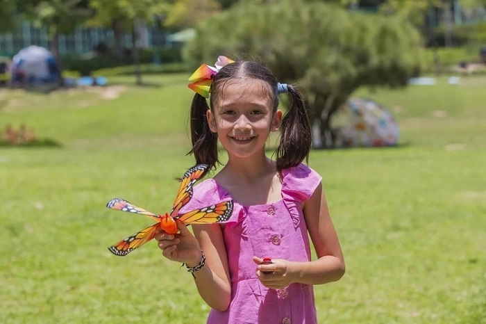 Zing Air Go Go Bird Butterfly Is Your Wing-Flapping RC Toy