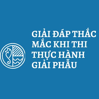 Một số câu hỏi cần biết khi thi thực hành giải phẫu