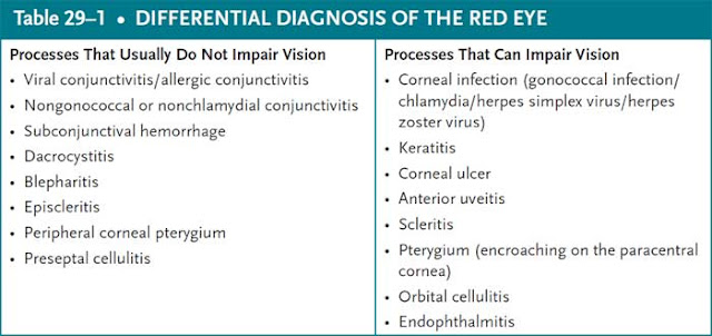 differential diagnosis of the red eye