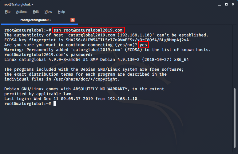 Настроить hosts. Hosts Linux. Hosts Debian. Файл hosts Linux. Etc hosts Linux.