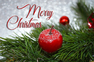 i wish you a merry christmas greetings 2021