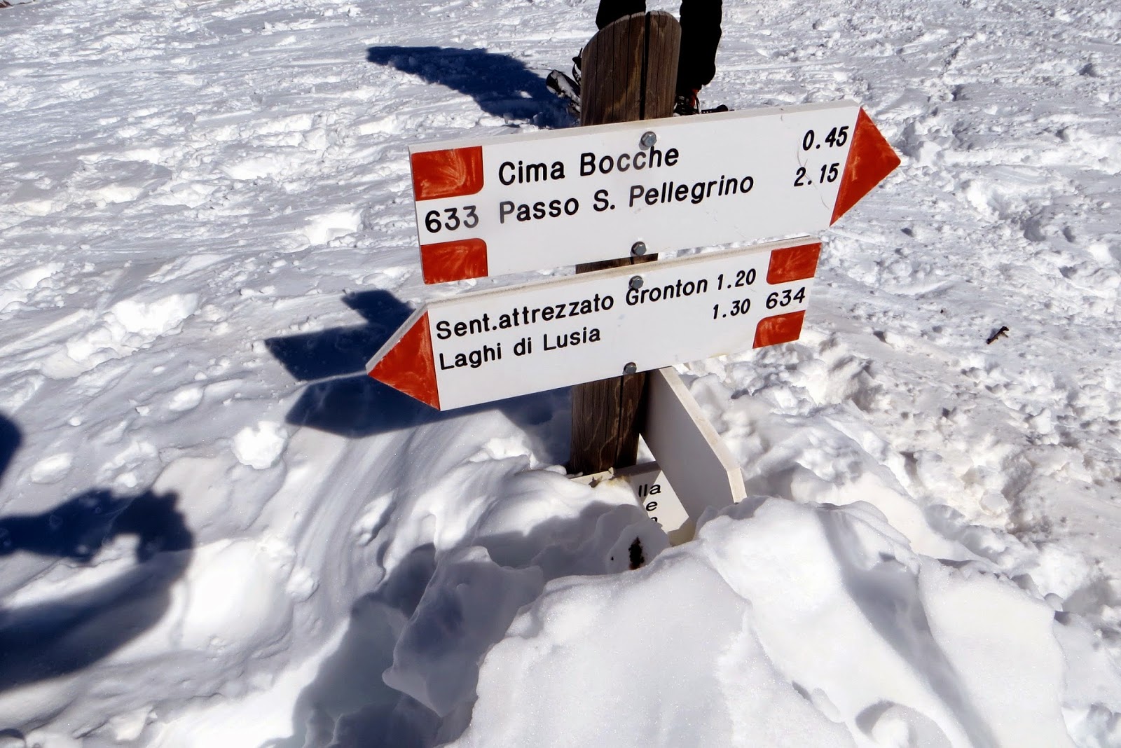 forcella bocche da passo san pellegrino, ciaspolata in trentino