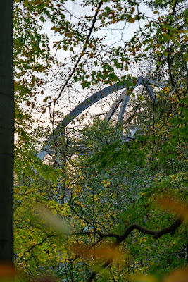 Herbstwanderung im Harz | Torfhaus – Eckerstausee – Bad Harzburg 17