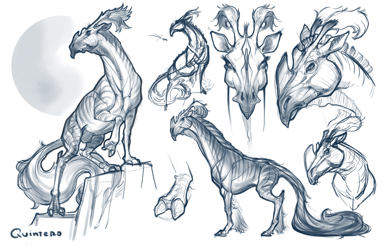 Reinaldo Quintero's Art: Animal Anatomy Final Giramon