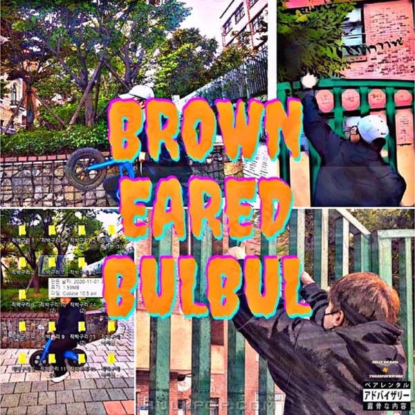 Senegalese- 직박구리 – Single