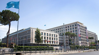 FAO hq FAO
